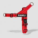 PAWLI Anti-Zug Geschirr-Set
