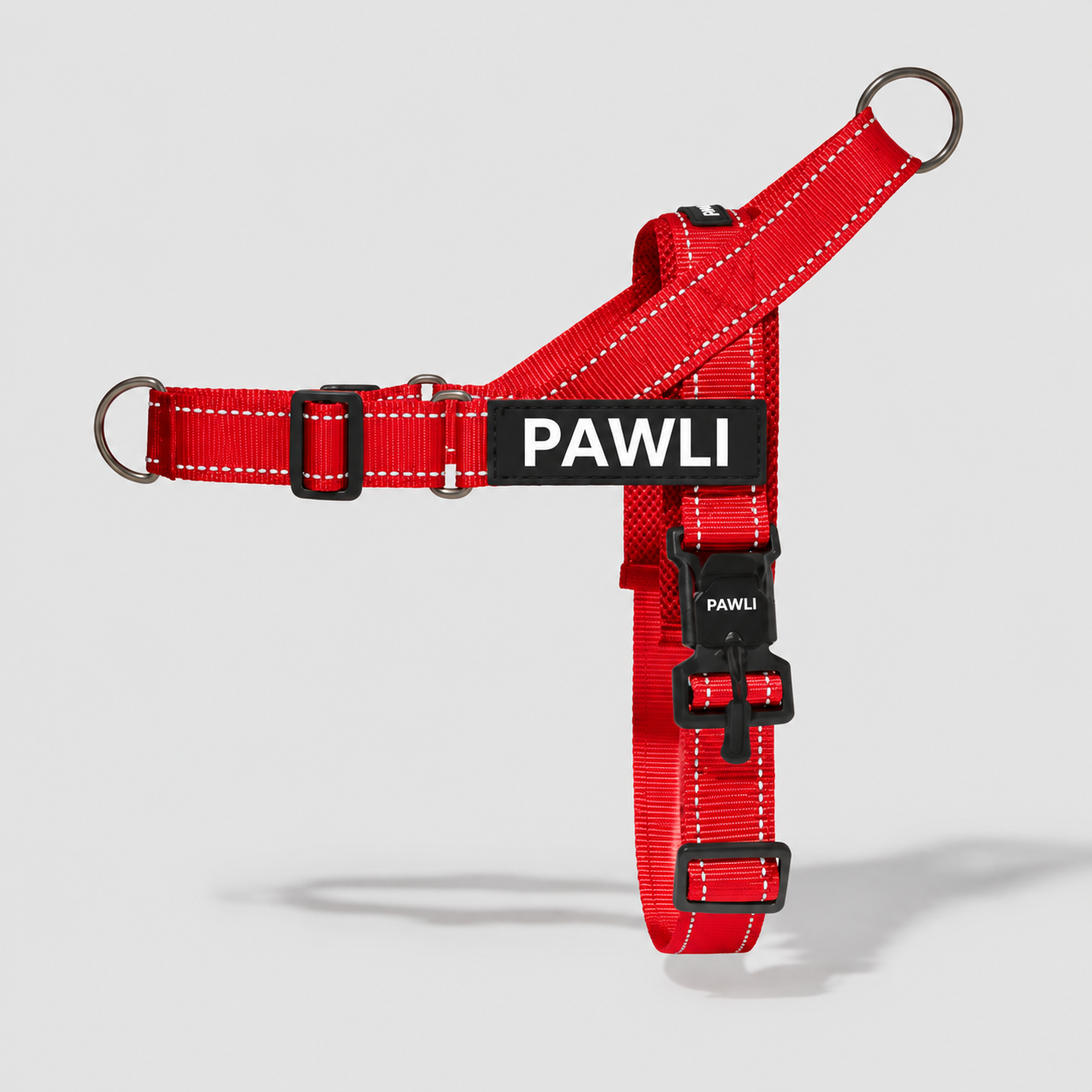 PAWLI Anti-Zug Geschirr-Set
