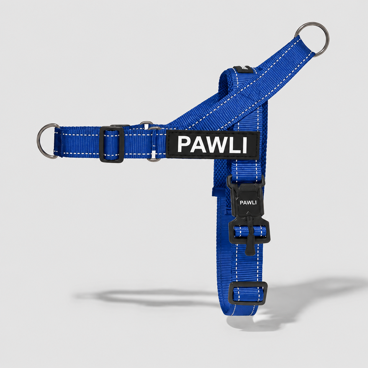 PAWLI Anti-Zug Geschirr-Set