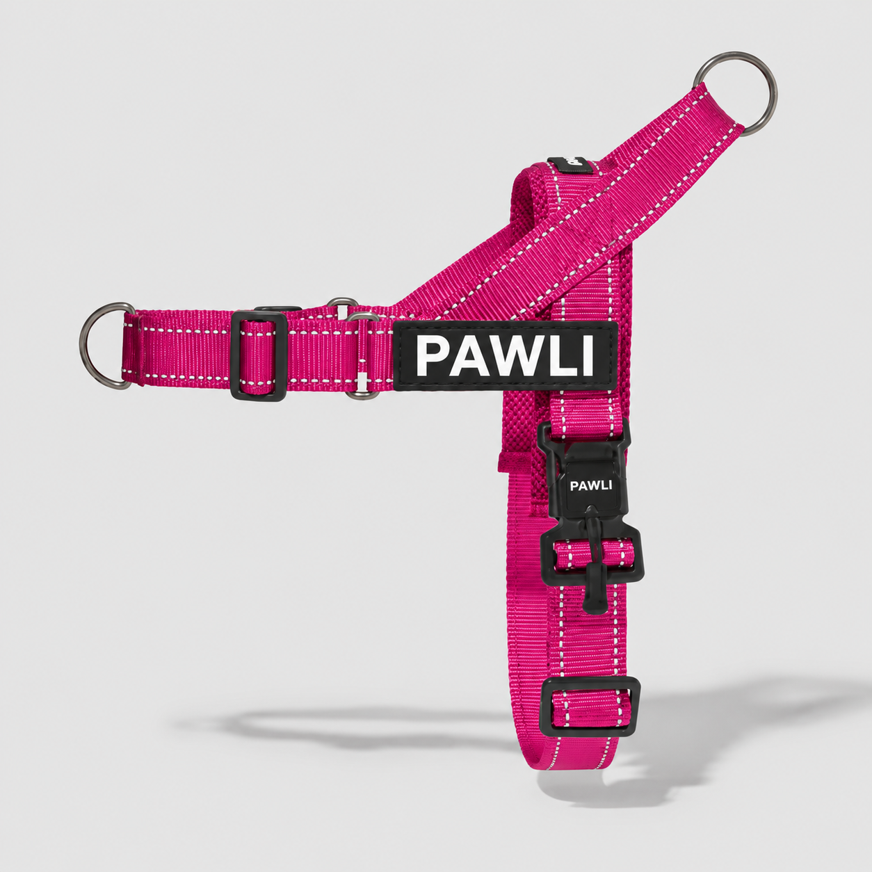 PAWLI Anti-Zug Geschirr-Set