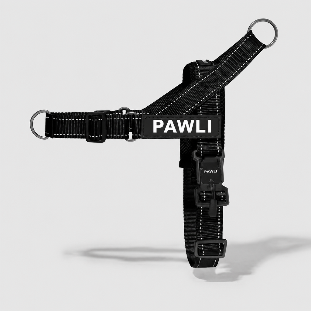 PAWLI Anti-Zug Geschirr-Set