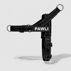 PAWLI Anti-Zug Geschirr-Set
