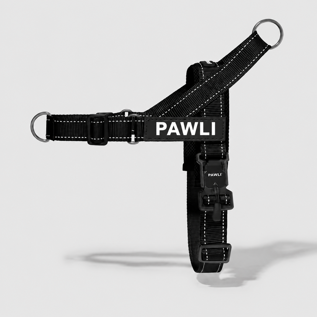 PAWLI Anti-Zug Geschirr-Set