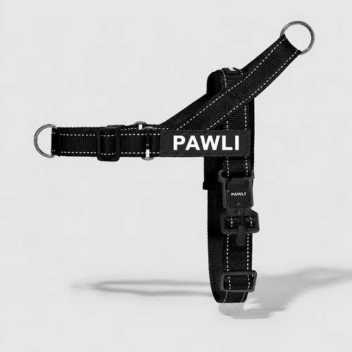PAWLI Anti-Zug Geschirr-Set